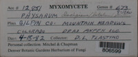Image Associated With the Occurence